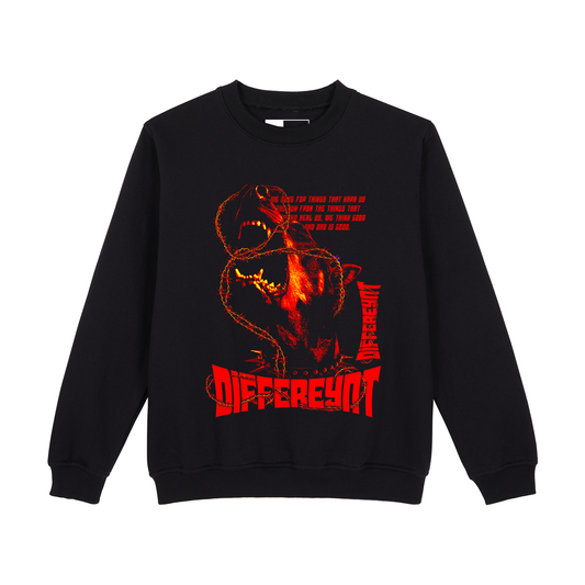 DIFFEREYNT SWEATSHIRT